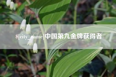 白沙中国第九金牌获得者