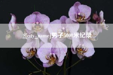 白沙男子5000米纪录