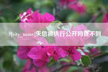白沙失信被执行公开网查不到
