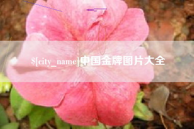 白沙中国金牌图片大全