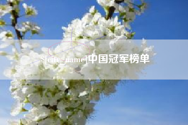 白沙中国冠军榜单