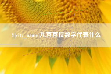白沙九宫宫位数字代表什么