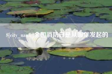 白沙全国消防日是从哪年发起的