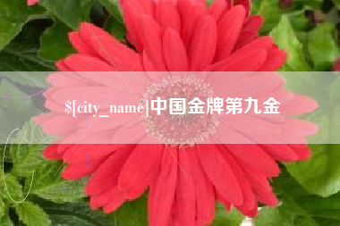 白沙中国金牌第九金
