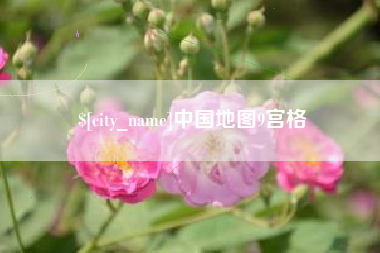 白沙中国地图9宫格