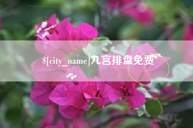 白沙九宫排盘免费