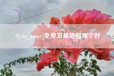 白沙免费卫星地图哪个好