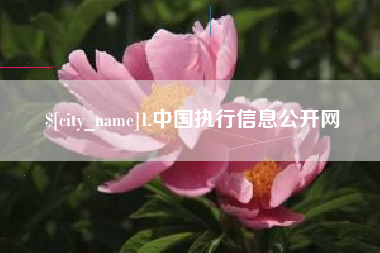 白沙1.中国执行信息公开网