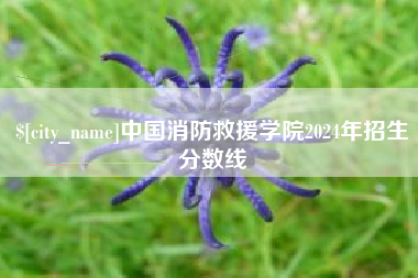 白沙中国消防救援学院2024年招生分数线