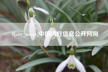 白沙中国执行信息公开网询