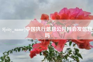 白沙中国执行信息公开网会发信息吗