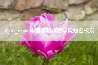 白沙中国消防救援学院知名校友