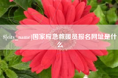 白沙国家应急救援员报名网址是什么