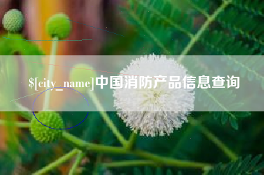 白沙中国消防产品信息查询