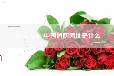 白沙中国消防网址是什么