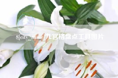 白沙九宫格盘点工具图片