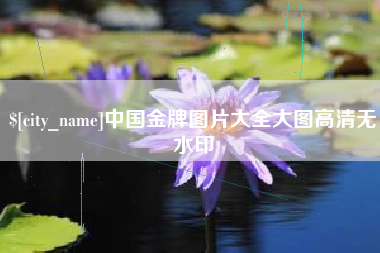 白沙中国金牌图片大全大图高清无水印