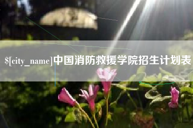 白沙中国消防救援学院招生计划表