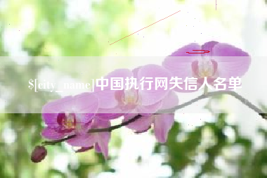 白沙中国执行网失信人名单