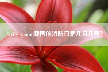 白沙我国的消防日是几月几号？