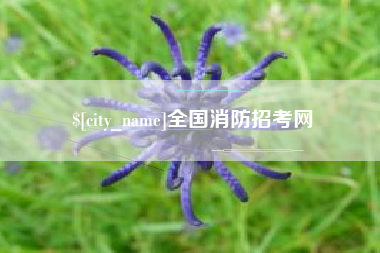 白沙全国消防招考网