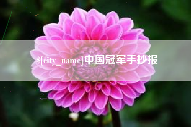 白沙中国冠军手抄报