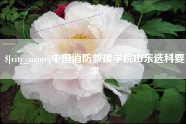 白沙中国消防救援学院山东选科要求