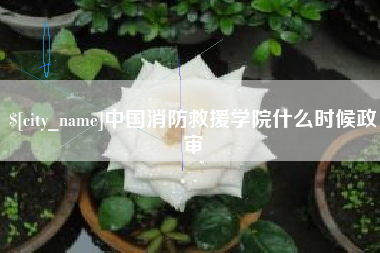 白沙中国消防救援学院什么时候政审