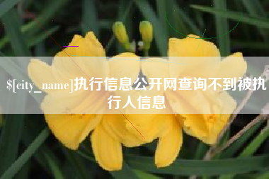 白沙执行信息公开网查询不到被执行人信息