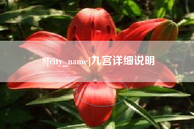 白沙九宫详细说明