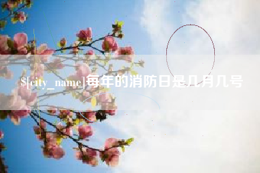 白沙每年的消防日是几月几号