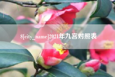 白沙2021年九宫对照表