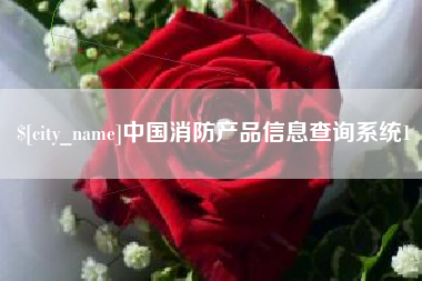 白沙中国消防产品信息查询系统1