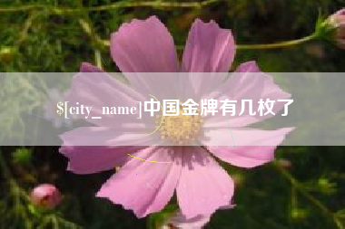 白沙中国金牌有几枚了