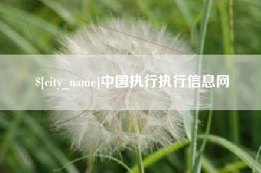 白沙中国执行执行信息网