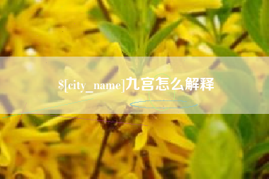 白沙九宫怎么解释
