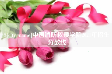 白沙中国消防救援学院2021年招生分数线