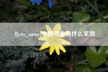 白沙中国夺金有什么奖励