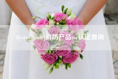 白沙消防产品ccc认证查询