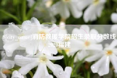 白沙消防救援学院招生录取分数线2020福建