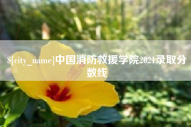 白沙中国消防救援学院2021录取分数线