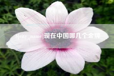 白沙现在中国哪几个金牌