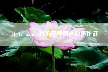 白沙消防证国网查询操作证
