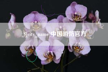 白沙中国消防官方