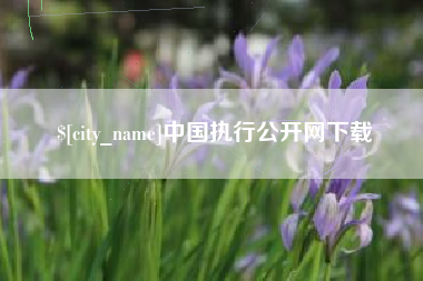 白沙中国执行公开网下载