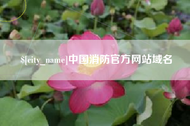 白沙中国消防官方网站域名