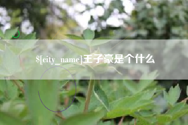 白沙王子豪是个什么
