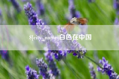 白沙白色在中国