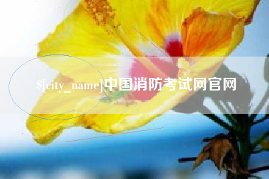 白沙中国消防考试网官网