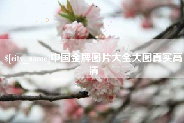 白沙中国金牌图片大全大图真实高清